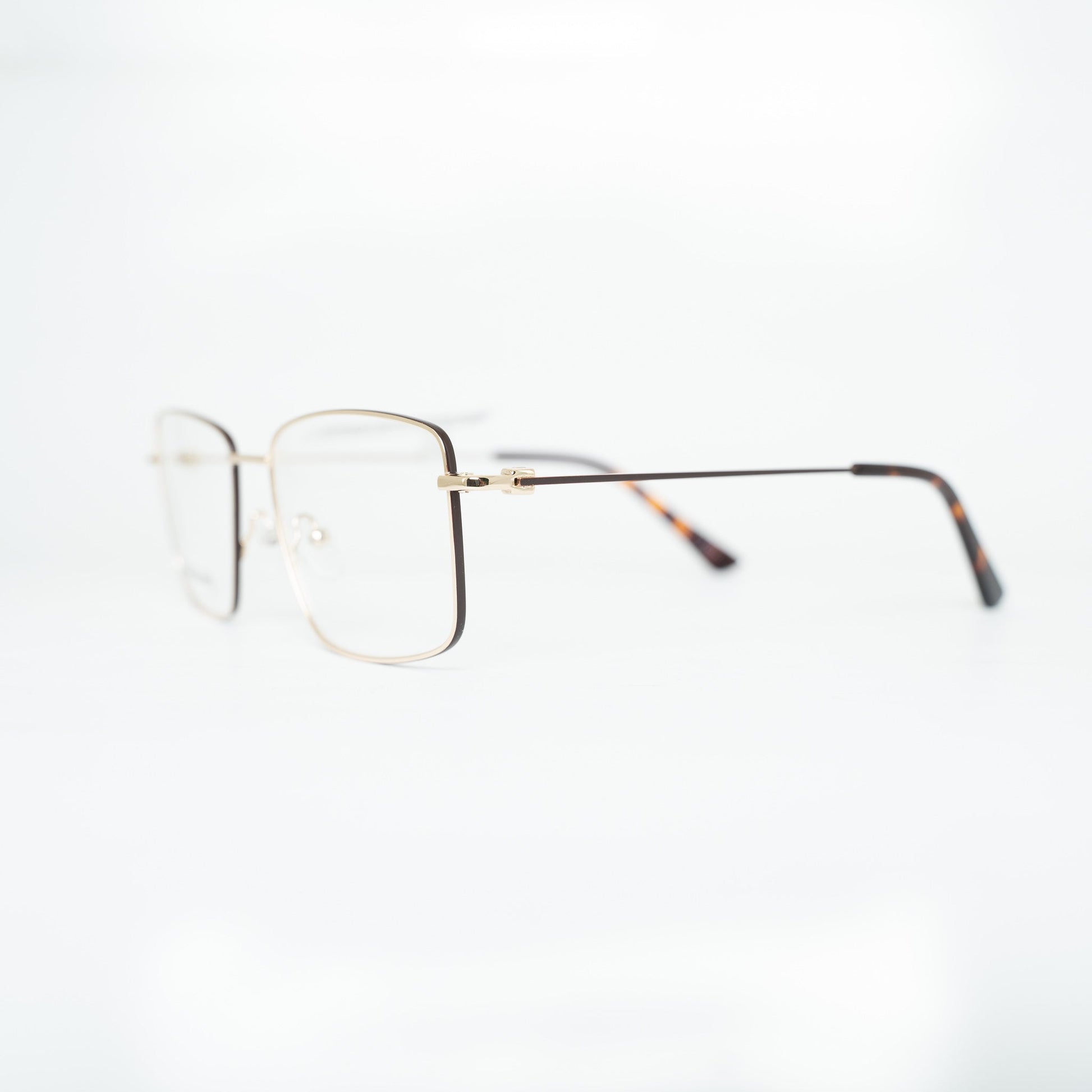 Tony Morgan TM1010BRWN55 | Eyeglasses - Vision Express Optical Philippines