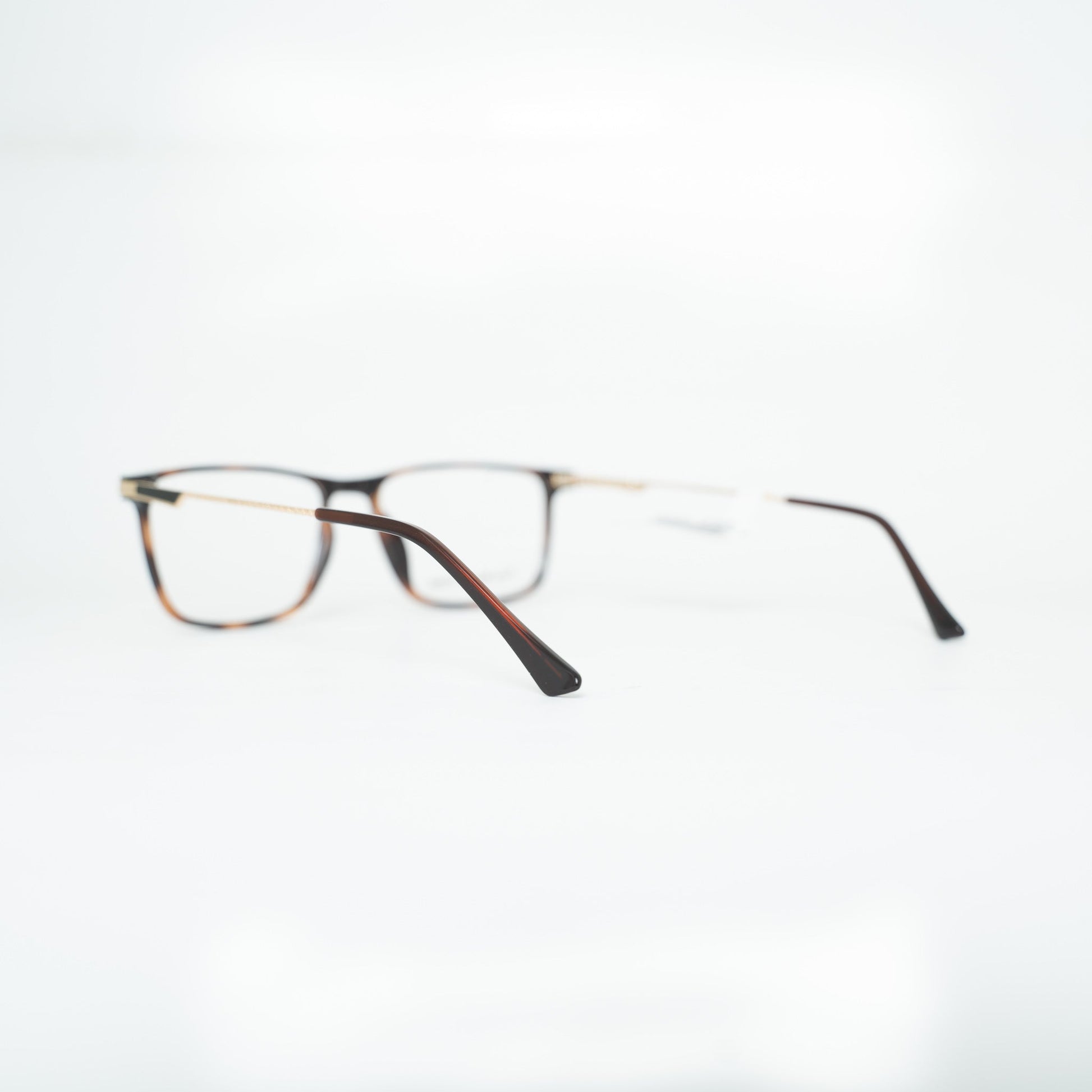 Tony Morgan TM0900BRWN54 | Eyeglasses - Vision Express Optical Philippines