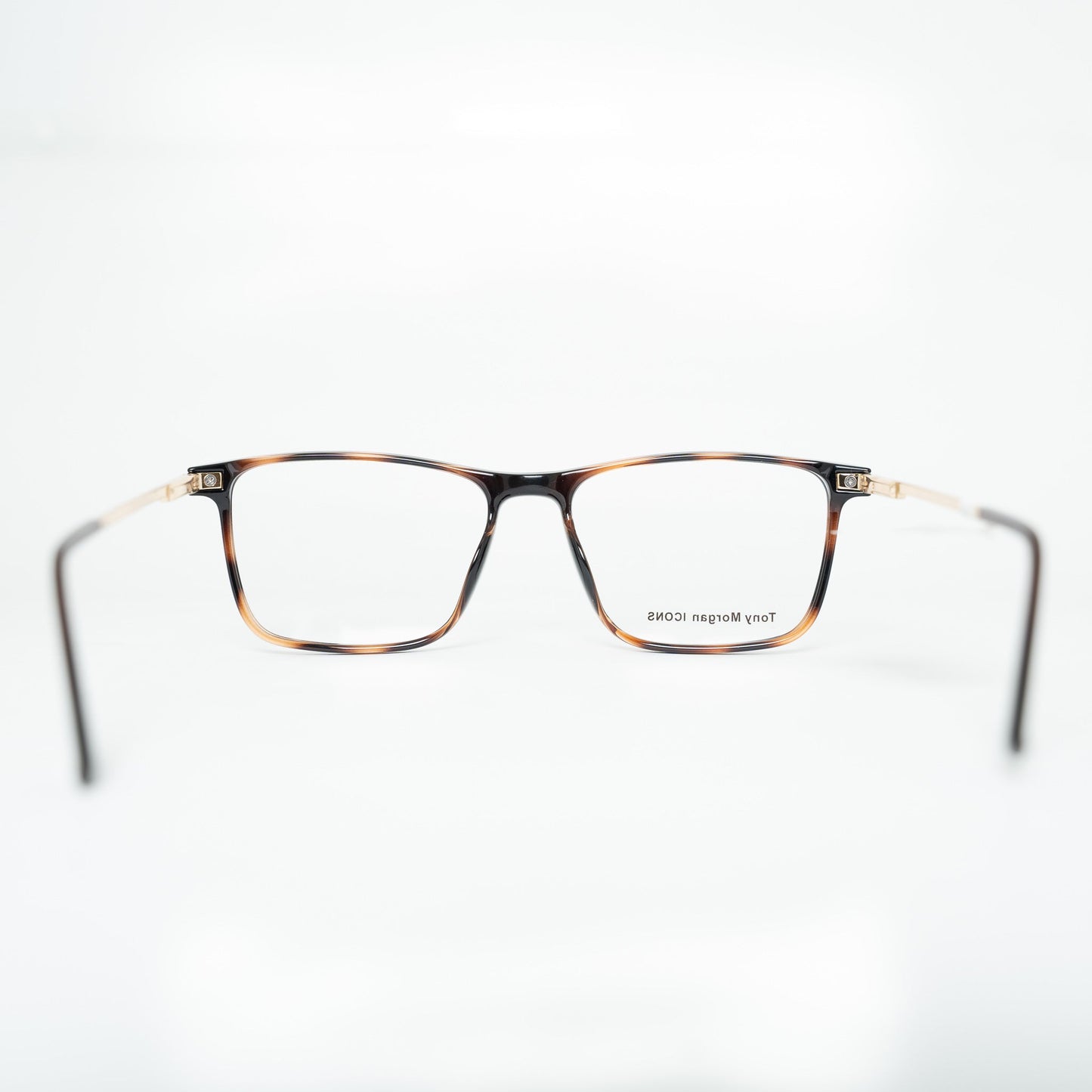 Tony Morgan TM0919BRWN54 | Eyeglasses - Vision Express Optical Philippines